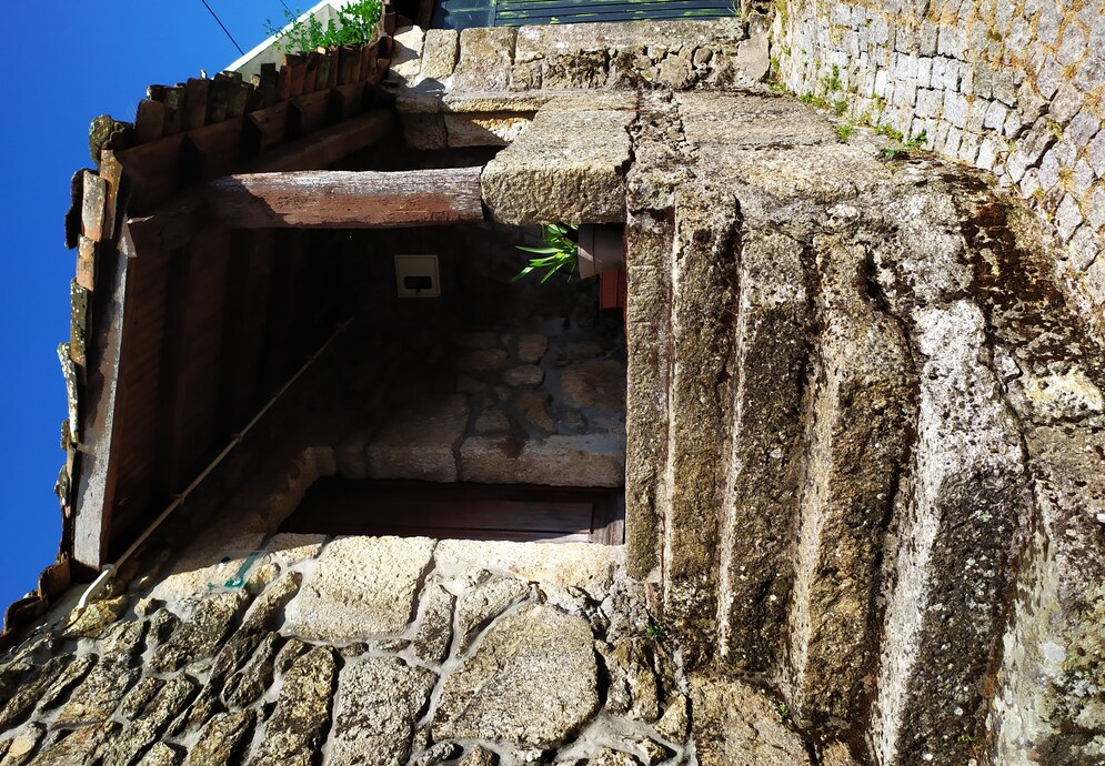 fonte: avelãs de ambom 