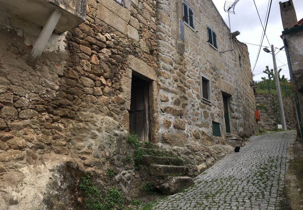 fonte: mizarela 