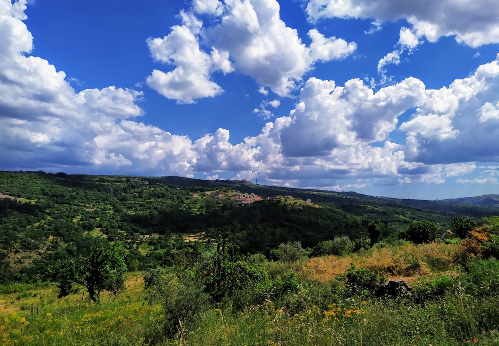 fonte: rocamondo