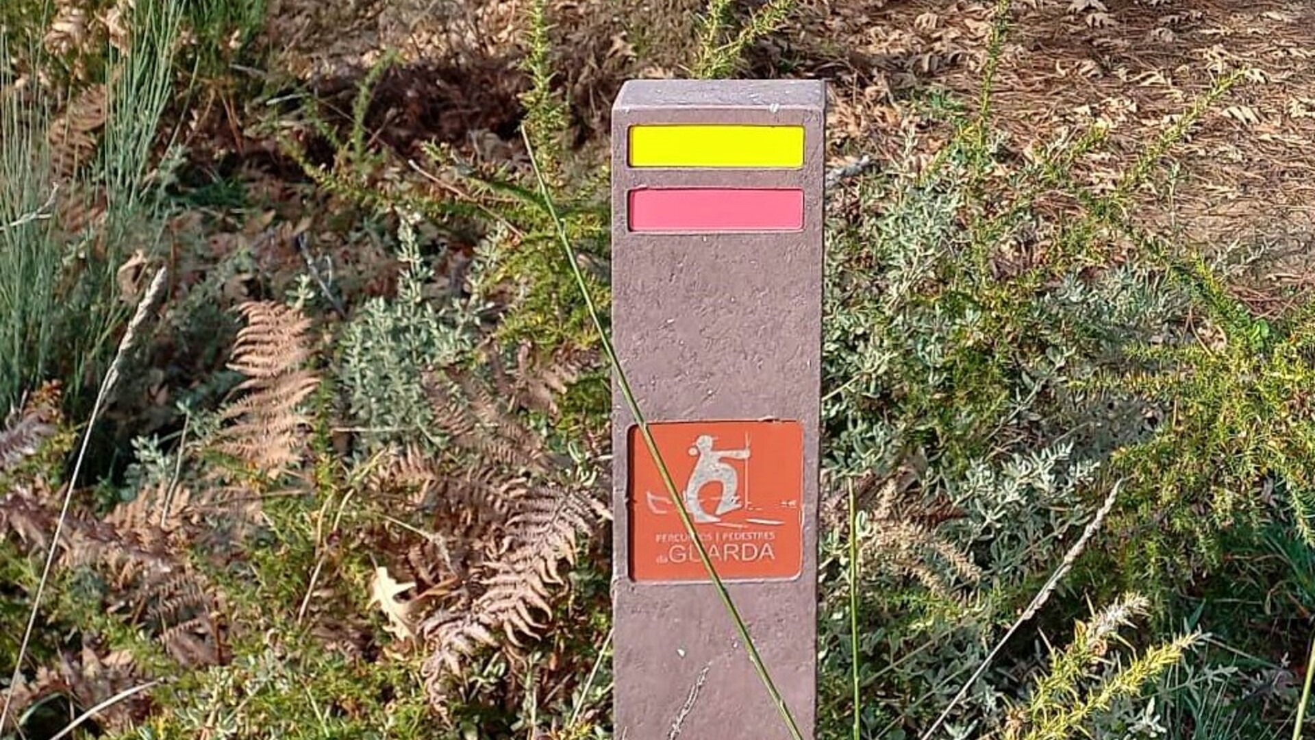 Camino de Pera do Moço;
