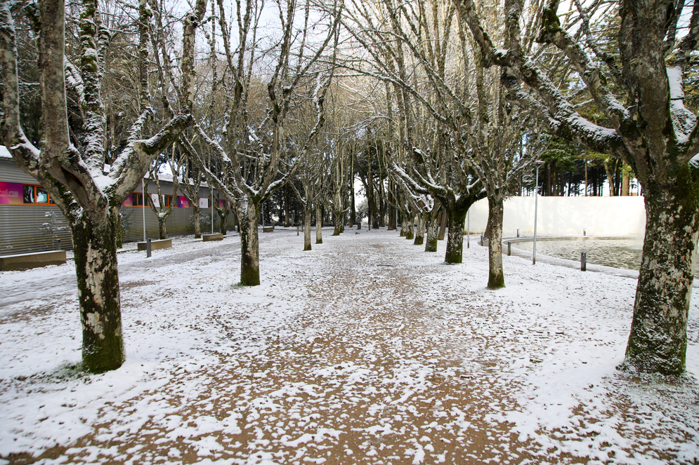 parque da cidade
