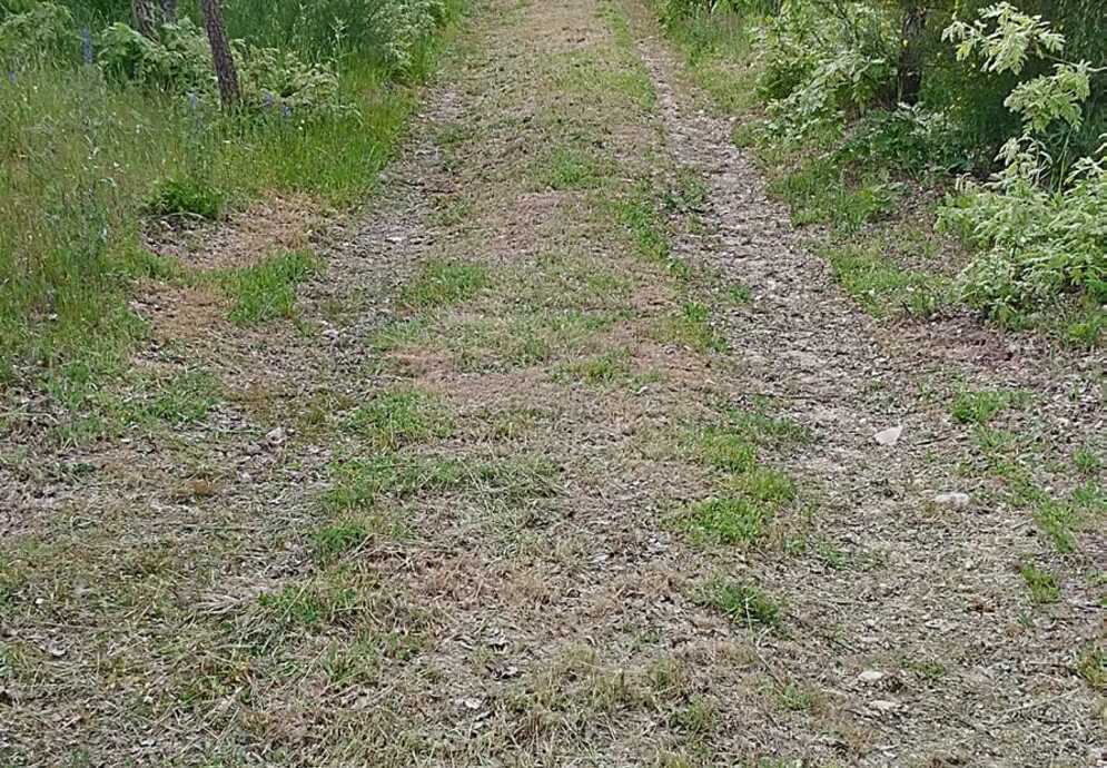 trilho quinta maúnça
