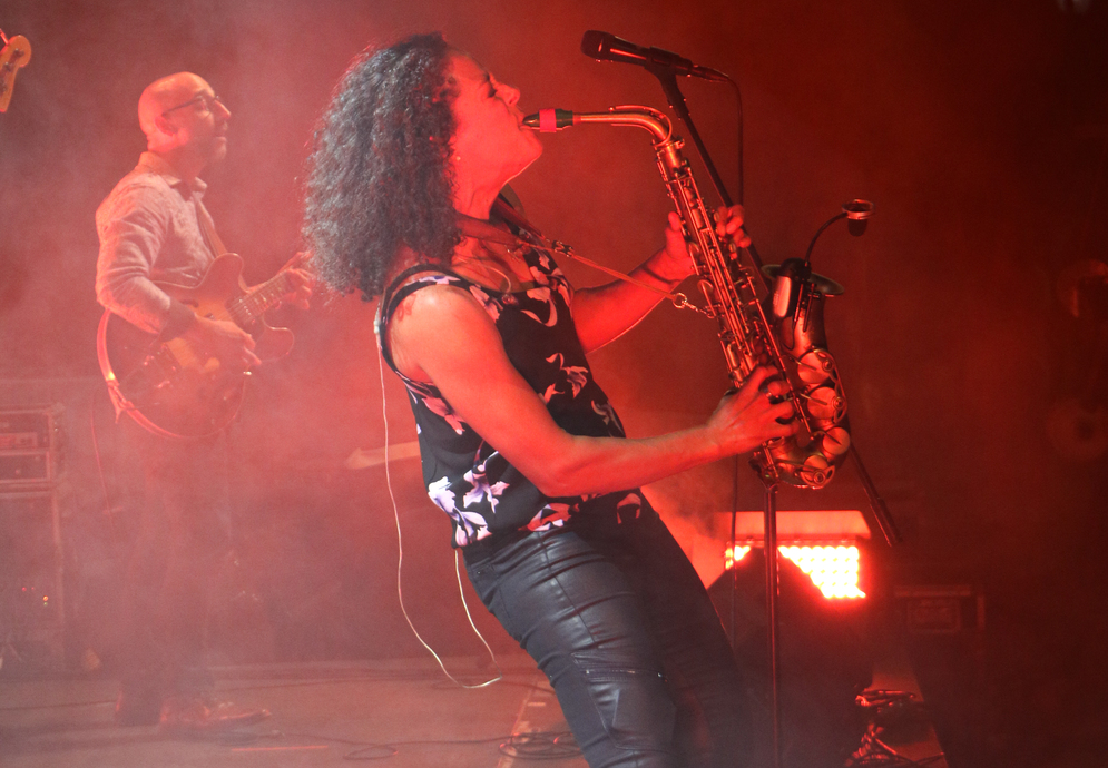 festival de blues