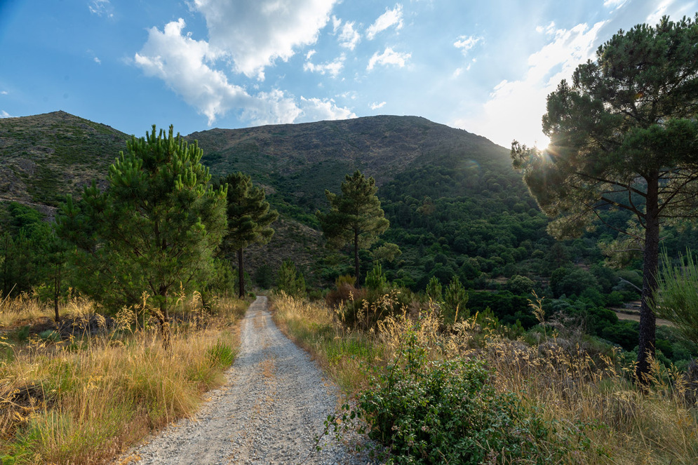passadiços do mondego
