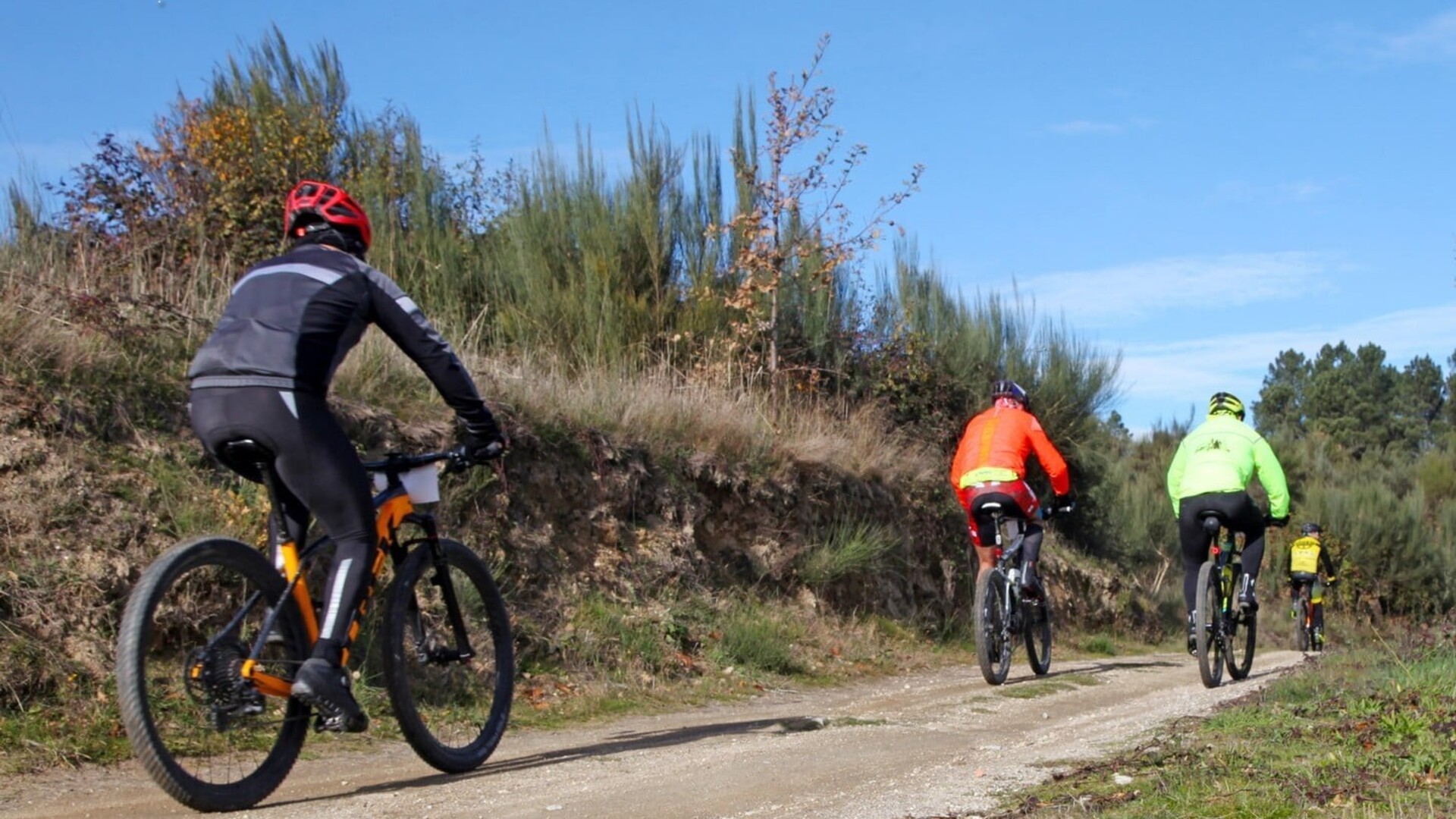cyclin guarda;