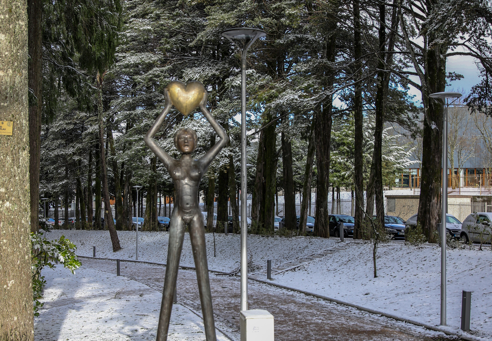 parque da cidade