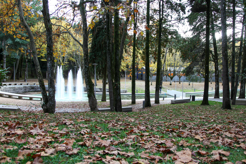 parque da cidade