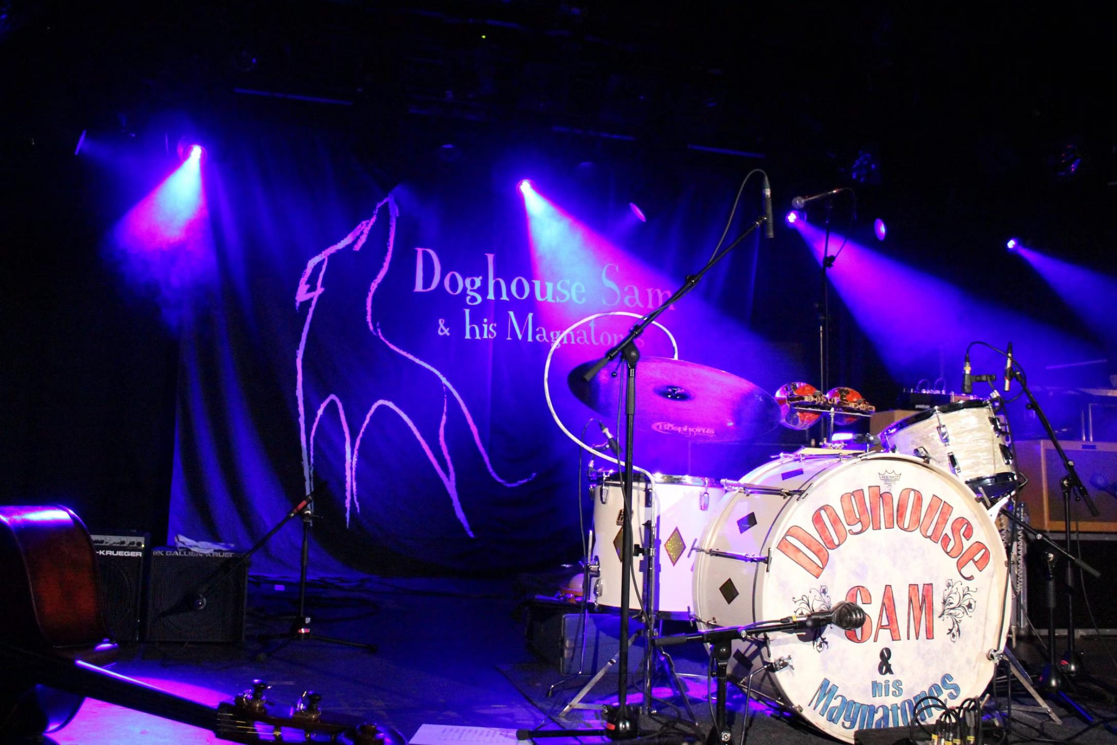 Música | Dog House Sam & His His Magnatones (Festival de Blues da Guarda)