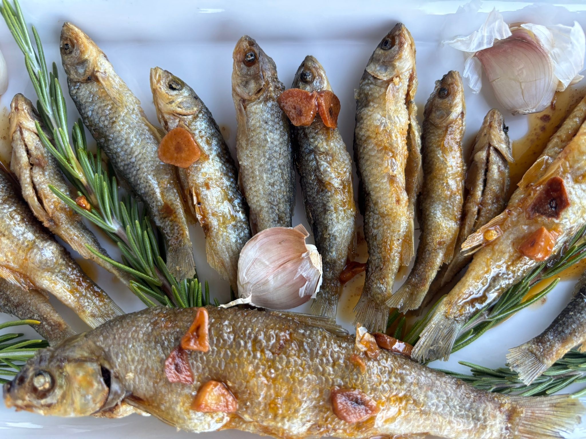Festival de Cultura Popular | Festival do Peixe do Rio 