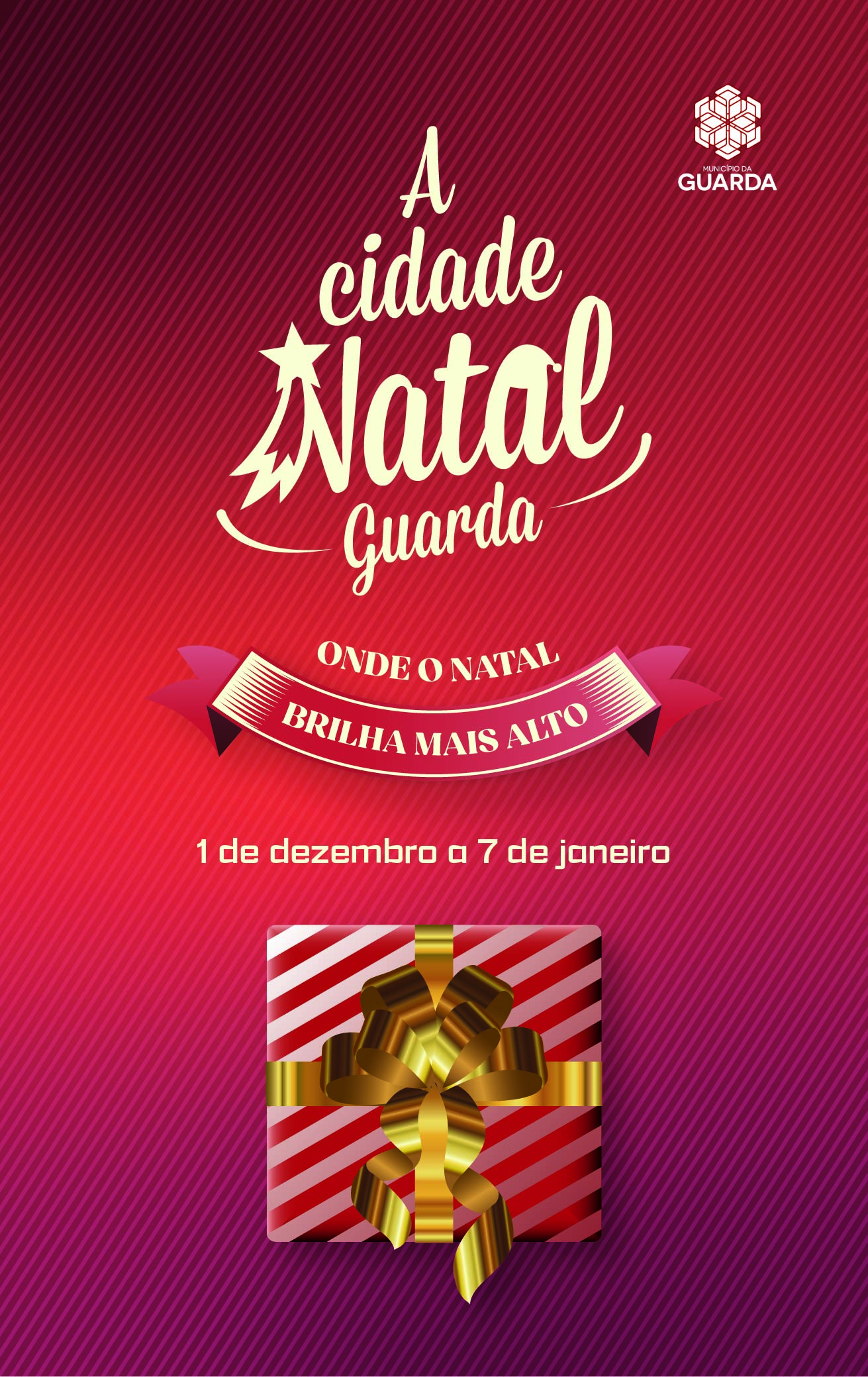 Guarda: A cidade Natal 