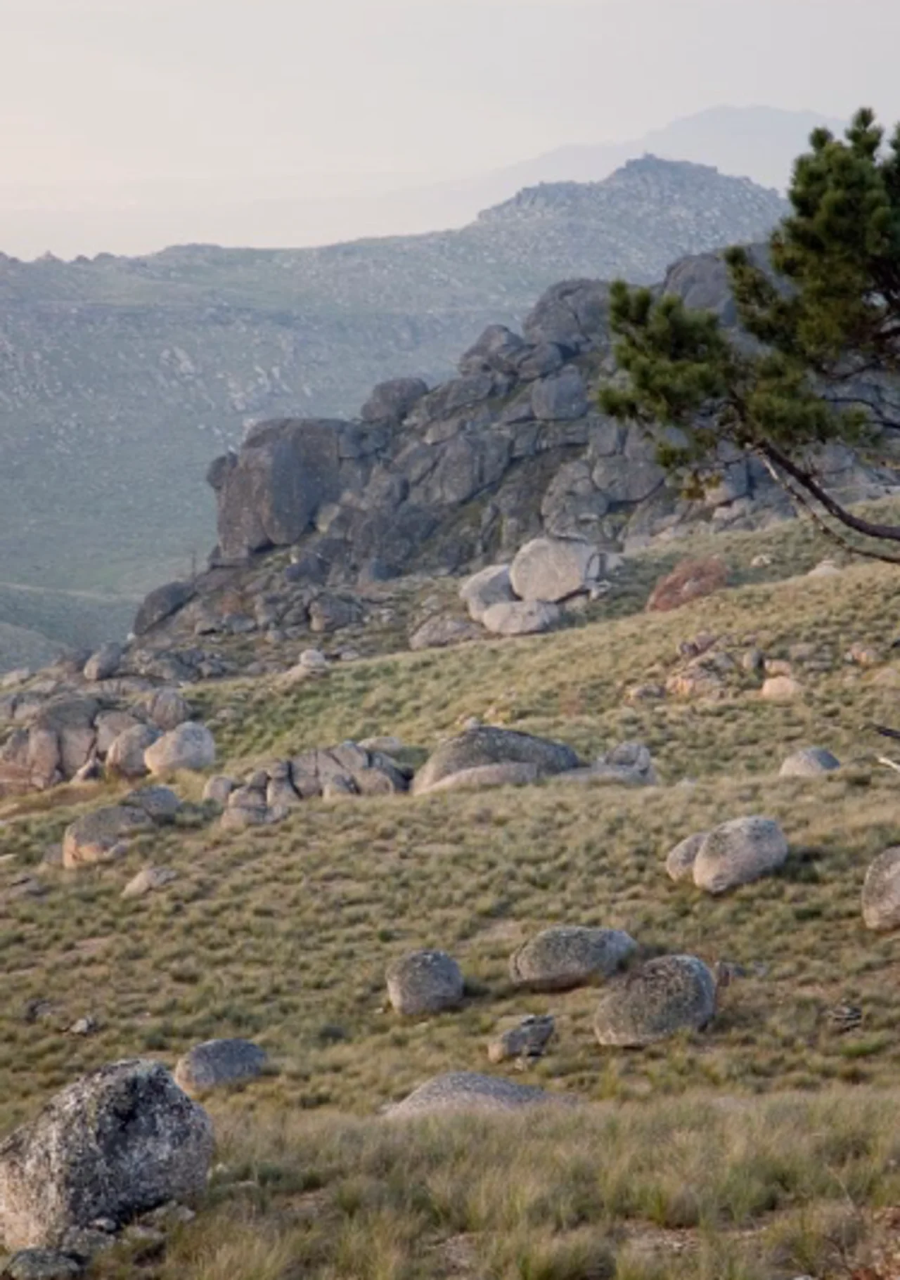 CAMINHADA INTERPRETATIVA | Do Alvendre ao Castro do Tintinolho